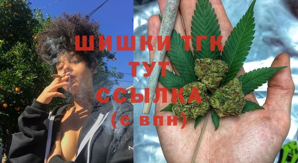 гидропоника Белокуриха