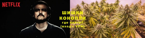 гидропоника Белокуриха