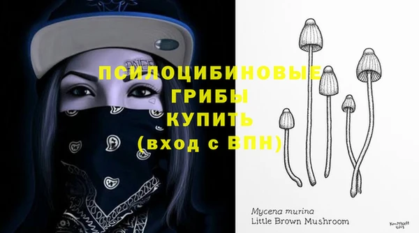 не бодяженный Горнозаводск