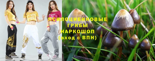 МДПВ Богданович