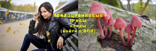 гидропоника Белокуриха