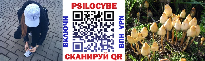 Купить где  Коряжма  Псилоцибиновые грибы GOLDEN TEACHER 